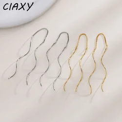 2023 New S Shape Wavy Metal Dangle Earrings for Women Exaggerate Drop Korean Fashion Spiral Ear Line Luxury Jewelry Pendientes