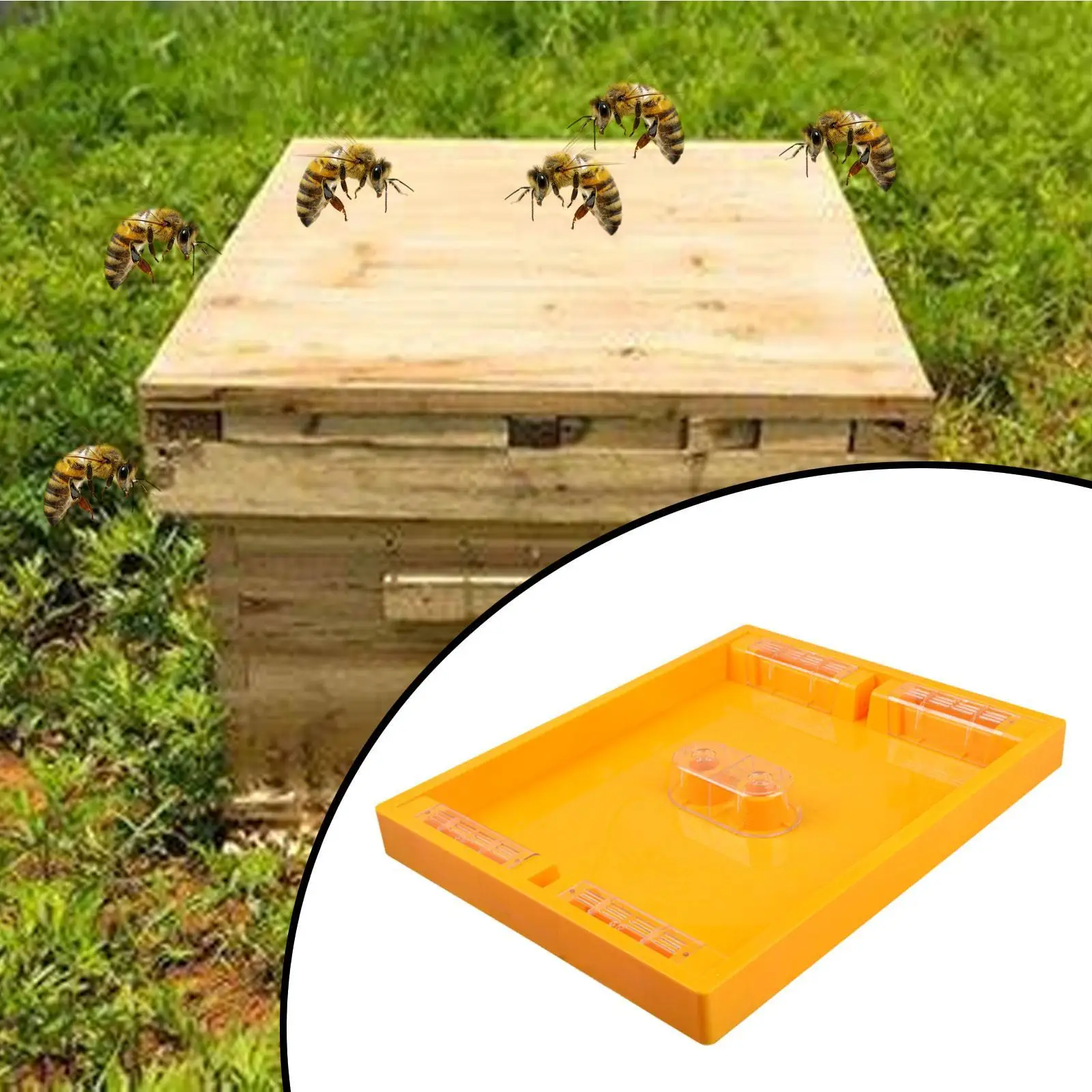 

Кормушка Bee Top для ульев Лангстрота, наружная, 4,5 л, для 10-рамочных ульев, товары для пчеловодства, кормушка для пчел