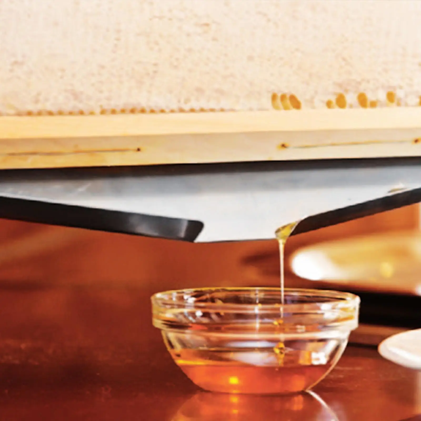 

Stainless Steel Honey Frame Stand Uncapping Holder Honeycomb Base Display Tray for Hive Frames Honeycomb Bees Automatic