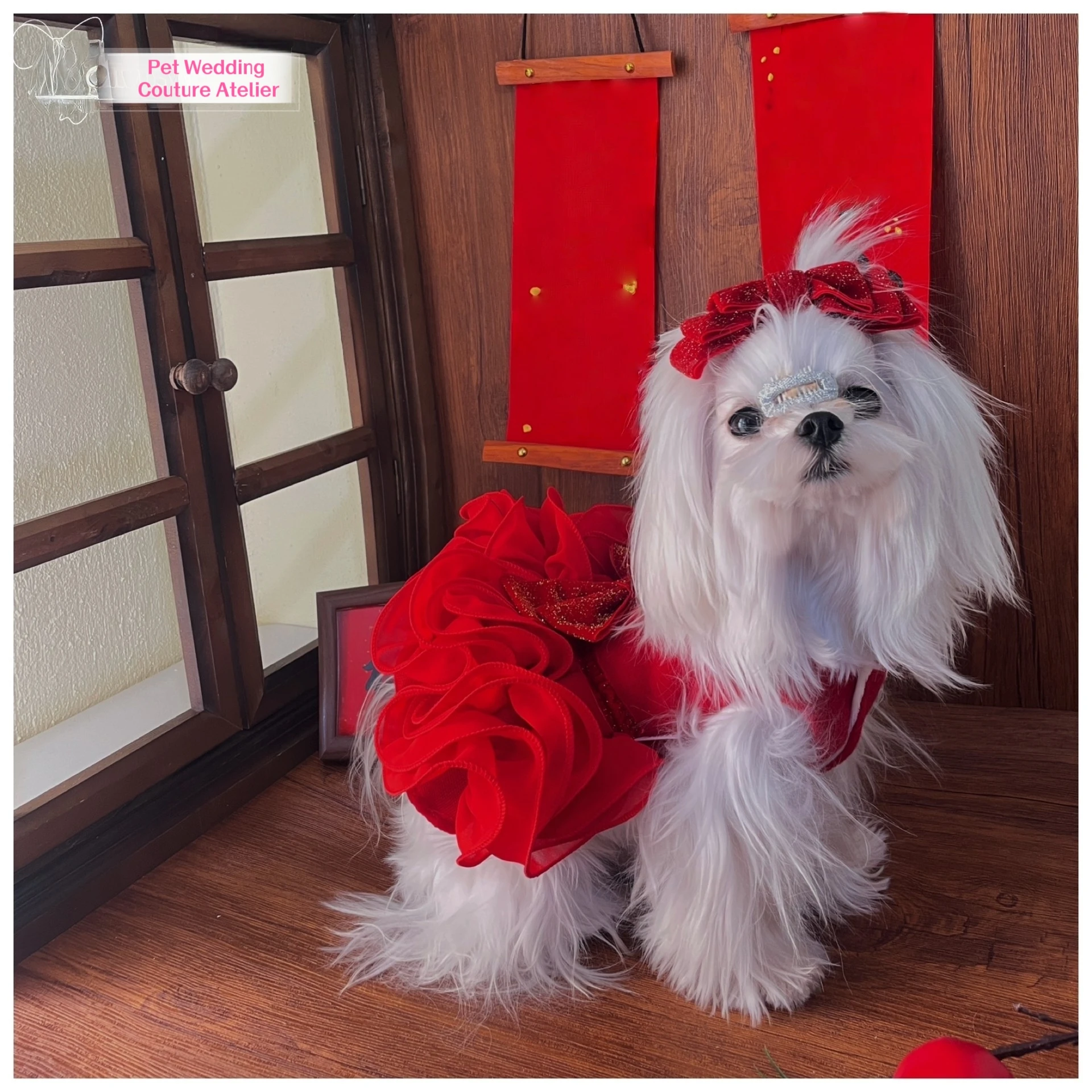 

Luxury Winter Red Dress for Small to Medium Dogs Cotton Lace Thick Plush Princess Style Puppy Skirt Perfect for Holiday Parties