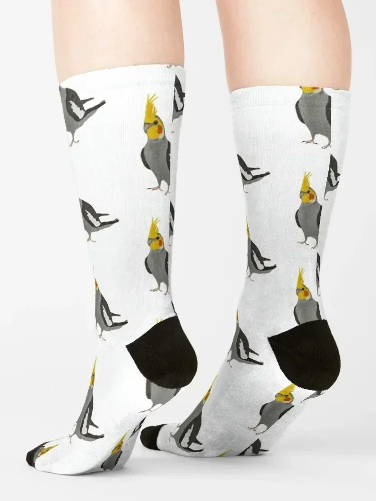 Cockatiel Parrot Calcetines algodón hombre Lotes medias navideñas Calcetines Mujer Hombre