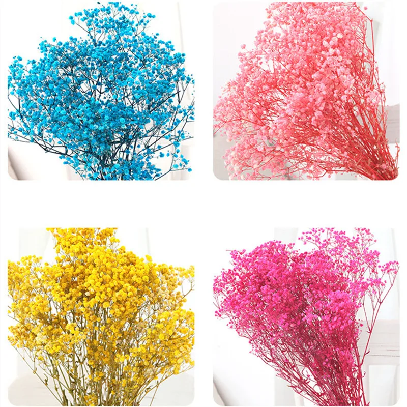 

Colorful gypsophila bouquets 12 colors Dried flowers really planted bud for wedding home decor shooting props 80g/lot bouquet