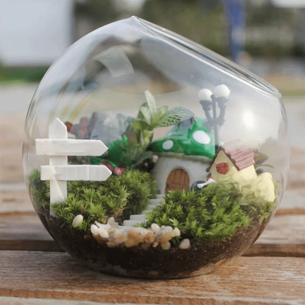 Oblique Clear Glass Ball Vase Transparent Clear Borosilicate Glass Vase 8/10/12/16cm Borosilicate Glass Plant Terrarium Moss