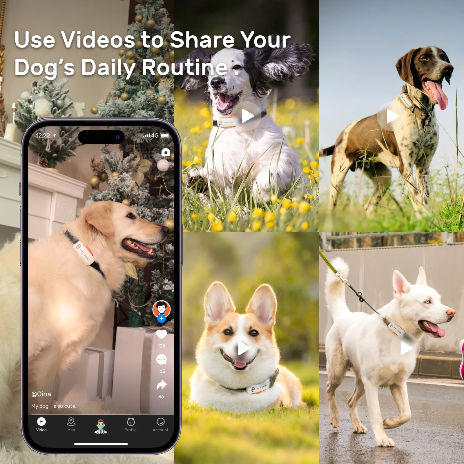 GPS Tracker for Dogs Waterproof Pet Location Smart Activity Tracker Real-time Tracking fit for Any Collar Android iOS Universal 5