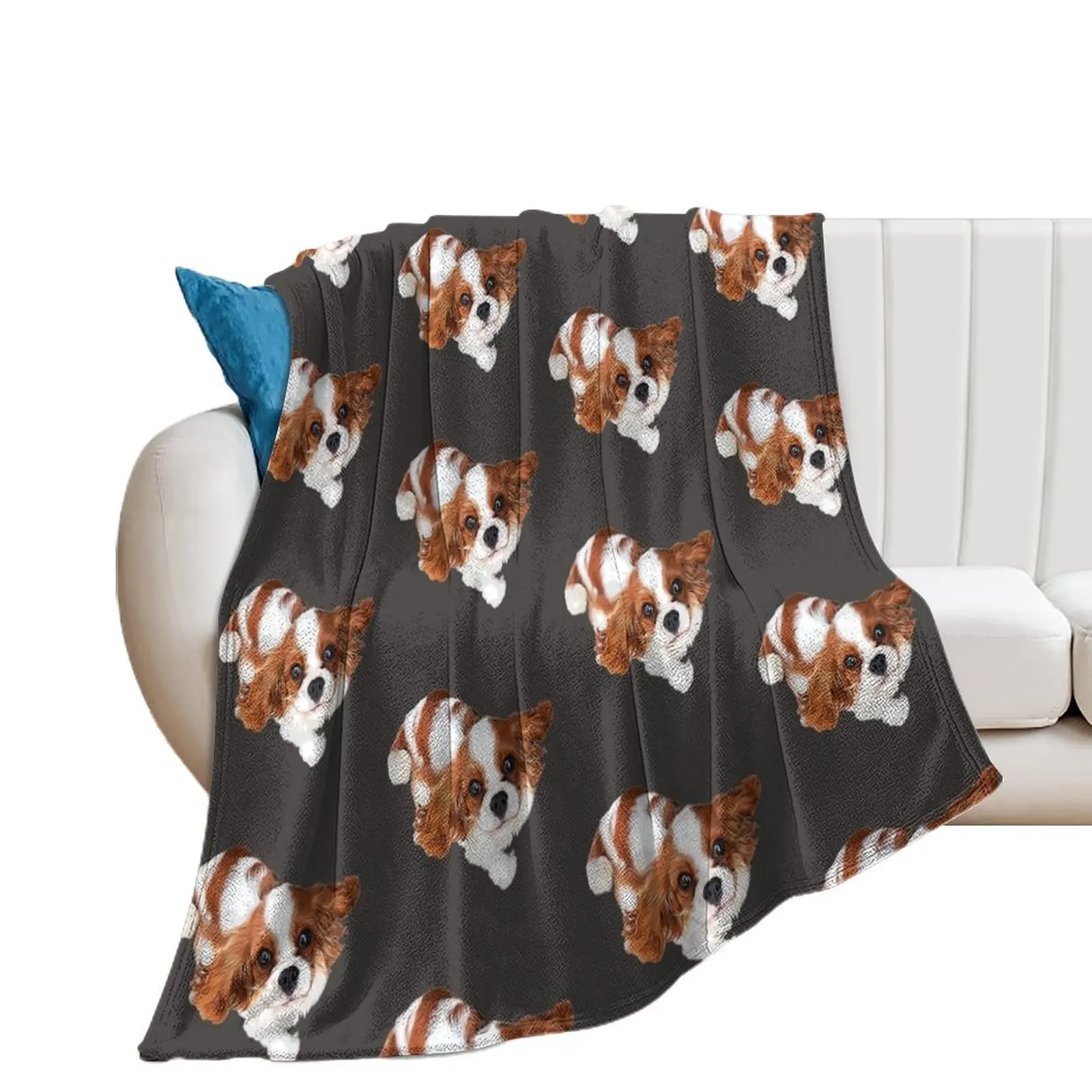 Cavalier King Charles Spaniel Looking Up Throw Blanket Tourist For Sofa Thin Picnic Blankets