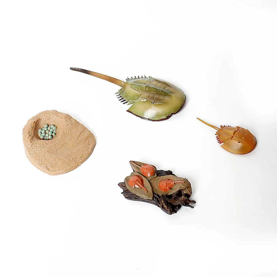 動物のライフサイクル モンテッソーリ プラスチック製 カメ タコ 白鳥 豆の形をしたフィギュアセット 動物フィギュア アクションフィギュア モデルおもちゃ 子供向けギフト