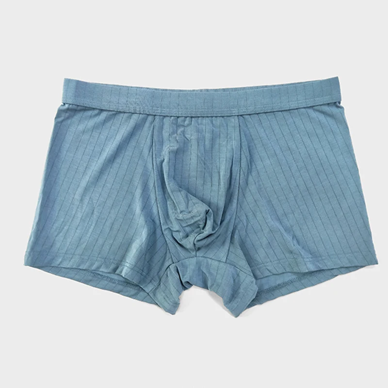 New Man Modal Breathable Thin Underwear Fashion Yong Male Stripe High Elasticity Soft Boxers Middle Waist U Convex Bag Underpant