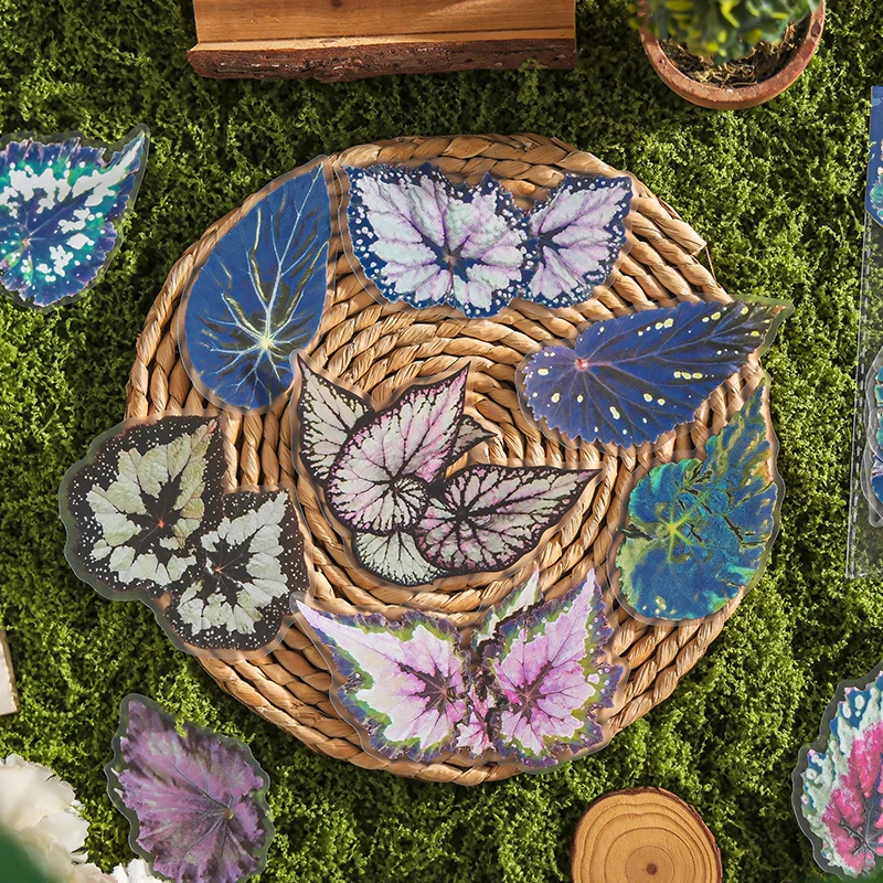 20 個植物花葉 PET ステッカーパックハンドアカウントコラージュジャンクジャーナルプランナースクラップブッキング装飾文具ステッカー