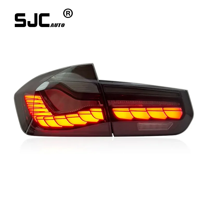 SJC Specially Manufactured White Dragon Scale LED Taillights for BMW 3 Series F30 Provide High-Quality Supply Exclusively