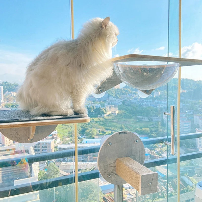 

Стеклянная настенная полка-когтеточка для кошек с большой несущей способностью, предотвращающая скольжение, без запаха, на присосках, для дома