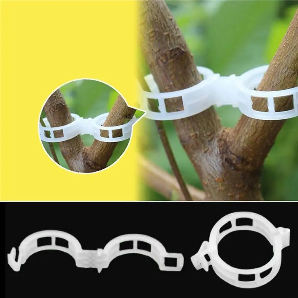 Garden Plant Support Clips Set Of 100/200 Trellis Clips For Tomato Vines, Grapevines, And Vegetables Grafting Buckle