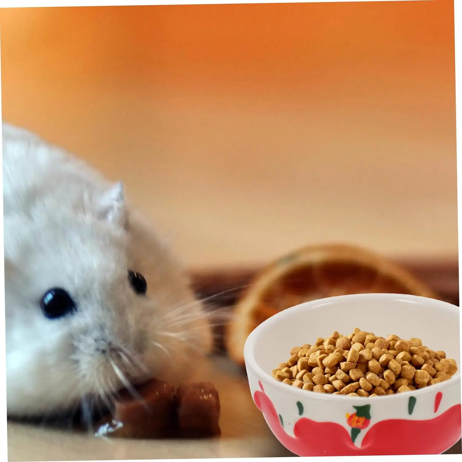 Hamster Food Bowl Rabbit Feeder Water Bowl Ceramic Small Animal Dishes Pottery Pet Dish Guinea Pig Feeder Bowl Supplies