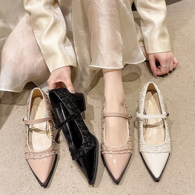 

2024 New Designer Spring and Fall Women Mary Jane Shoes Ladies Fashion Pointed Toe Thick Heel Women's Comfort Office Pumps Shoes