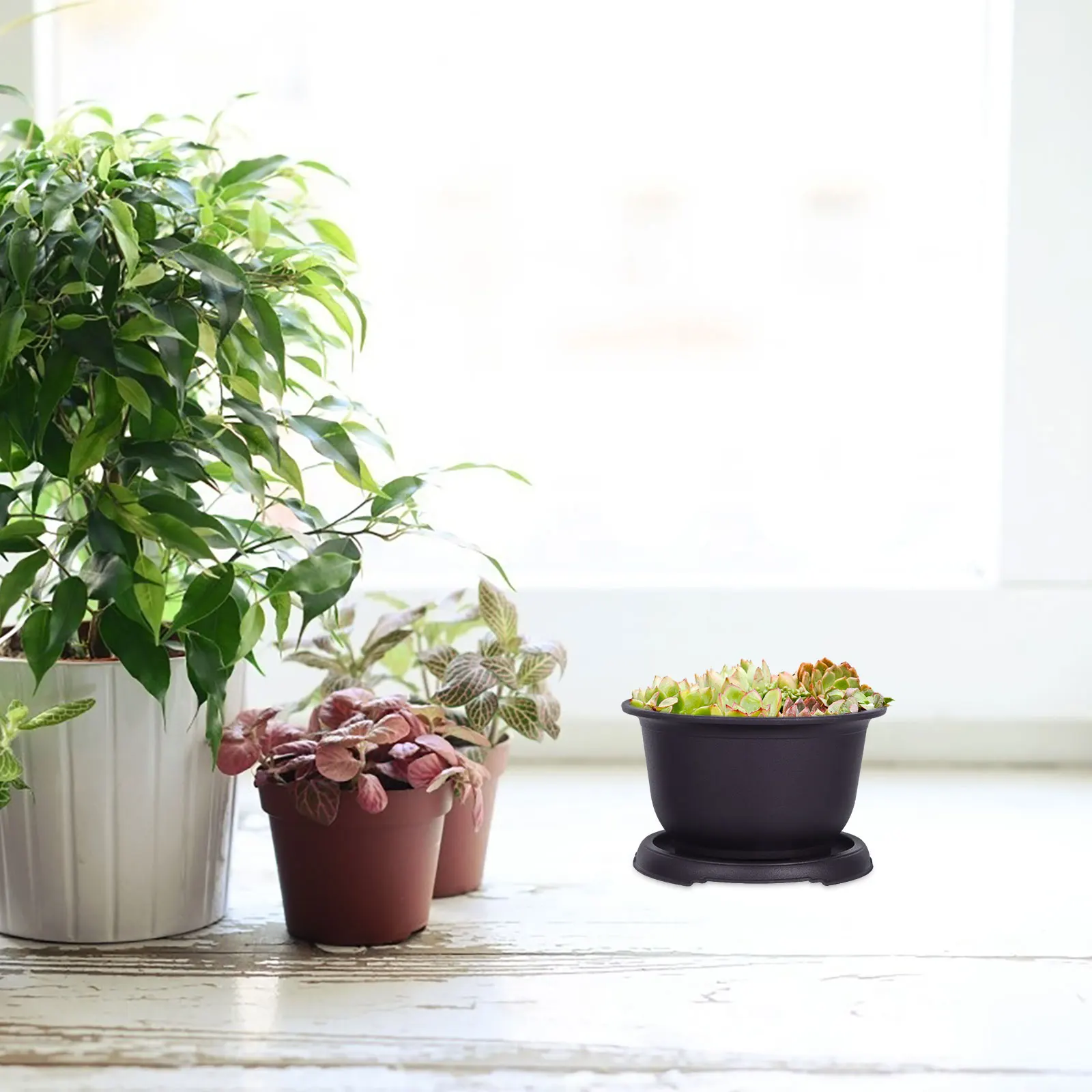 

Flowerpot Cactus Bonsai Bowls Beautiful for Flowers Indoor Decorative Planter Container Plants