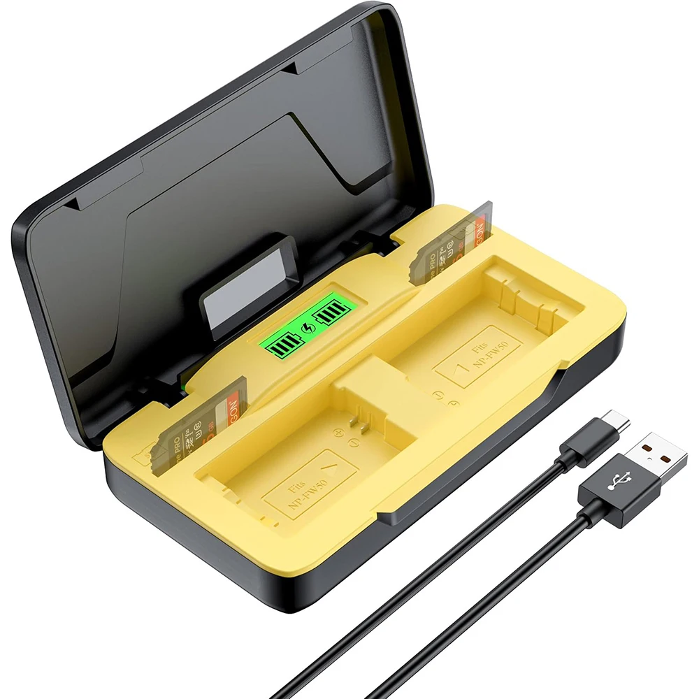 20W Dual Battery St… - image