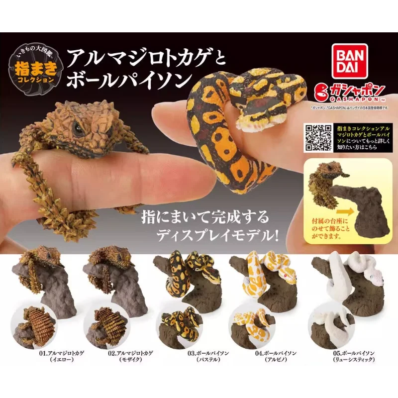 سلسلة مخلوق بانداي غاشابون أرماديلو سحلية وكرة بيثون، نموذج حيوان واقعي، ديكور مكتب لطيف، هدية محاكاة للزواحف