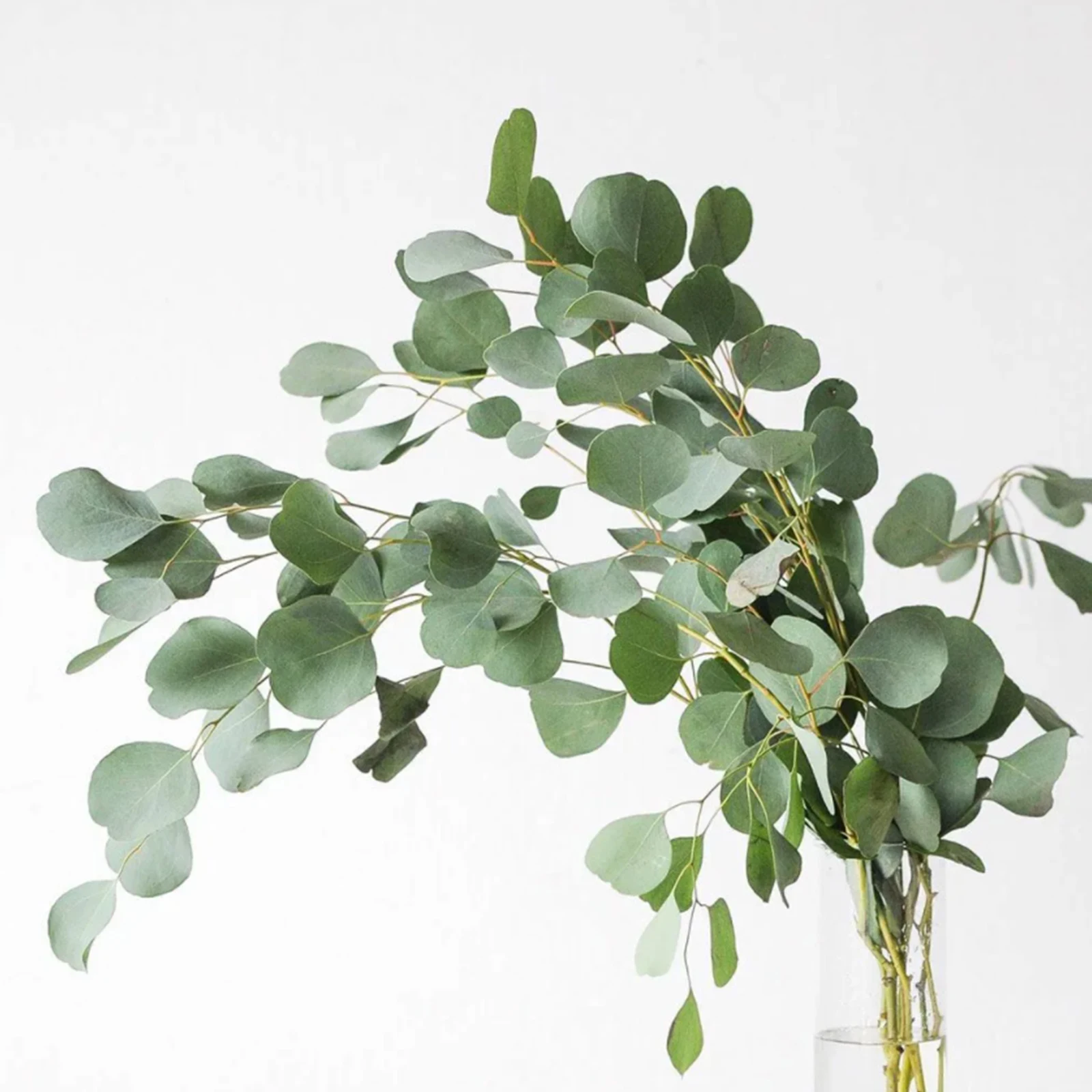 Imitation Plants Artificial Eucalyptus Leaves For Wedding Party 50pcs Elegant Silk Cloth DIY Craft Home Decoration