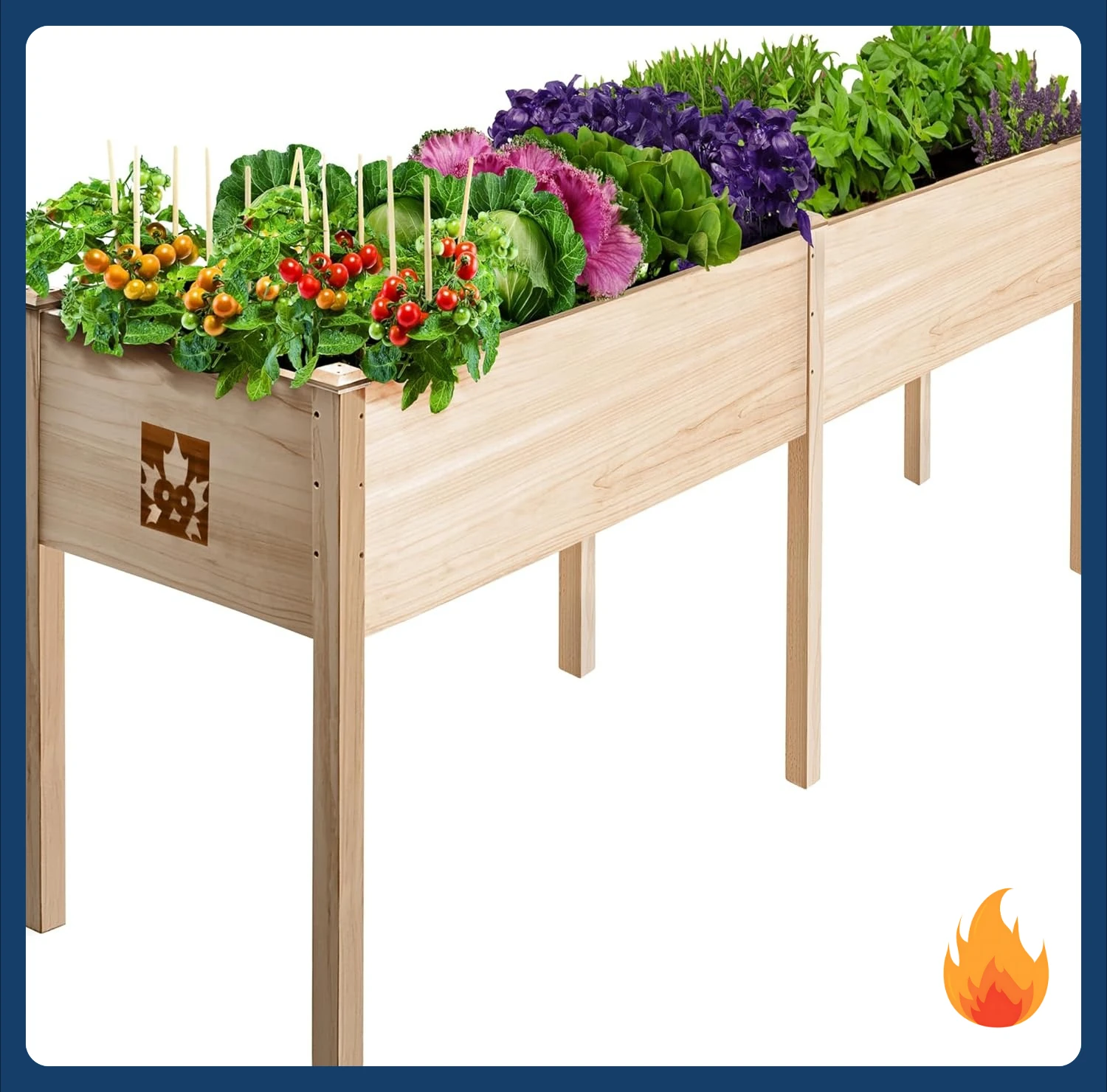 

[New Arrival!]Raised Garden Bed with Legs 72x23x30 - Natural Cedar Wood Elevated Planter Box, Veggies, Herbs - 300lb Capacity -