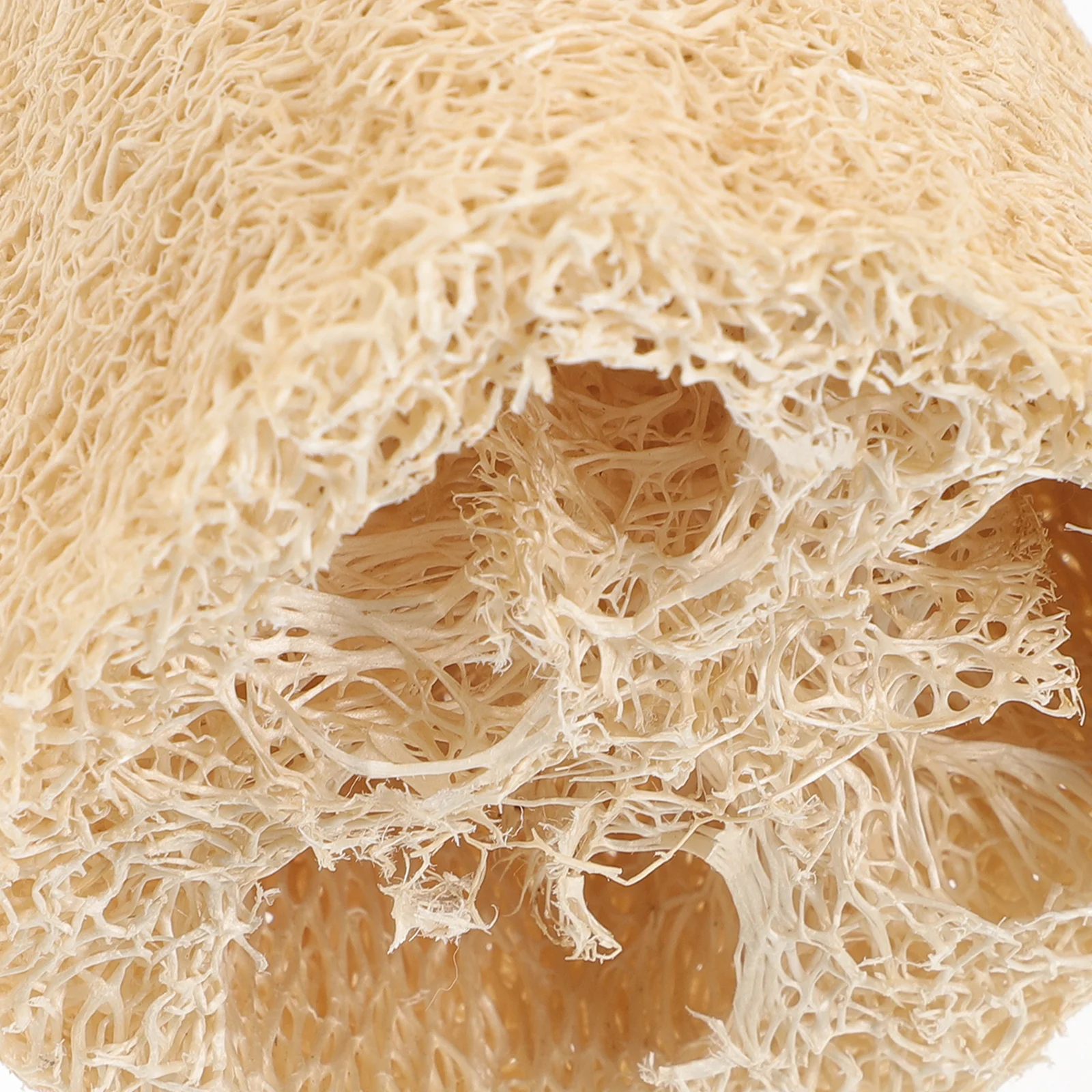 

2Pcs Natural Loofah Dishwashing Sponges Soft Comfortable Kitchen Cleaning Tool Strong Absorption Multipurpose Scrubber