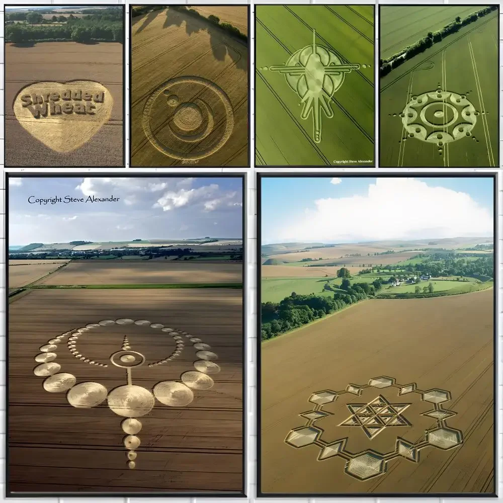 Phenomenon Mystery Crop Circle Poster Distinct Home Decor Concepts Chic Indoor Art Pieces