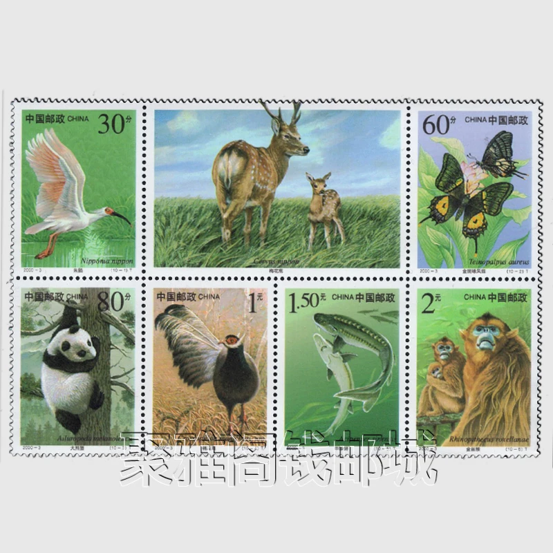 China Post National Protected Wildlife 28-Briefmarken-Porto-Komplettset Neues Sammler-Postmarkenmaterial für Scrapbooking – Detail 3