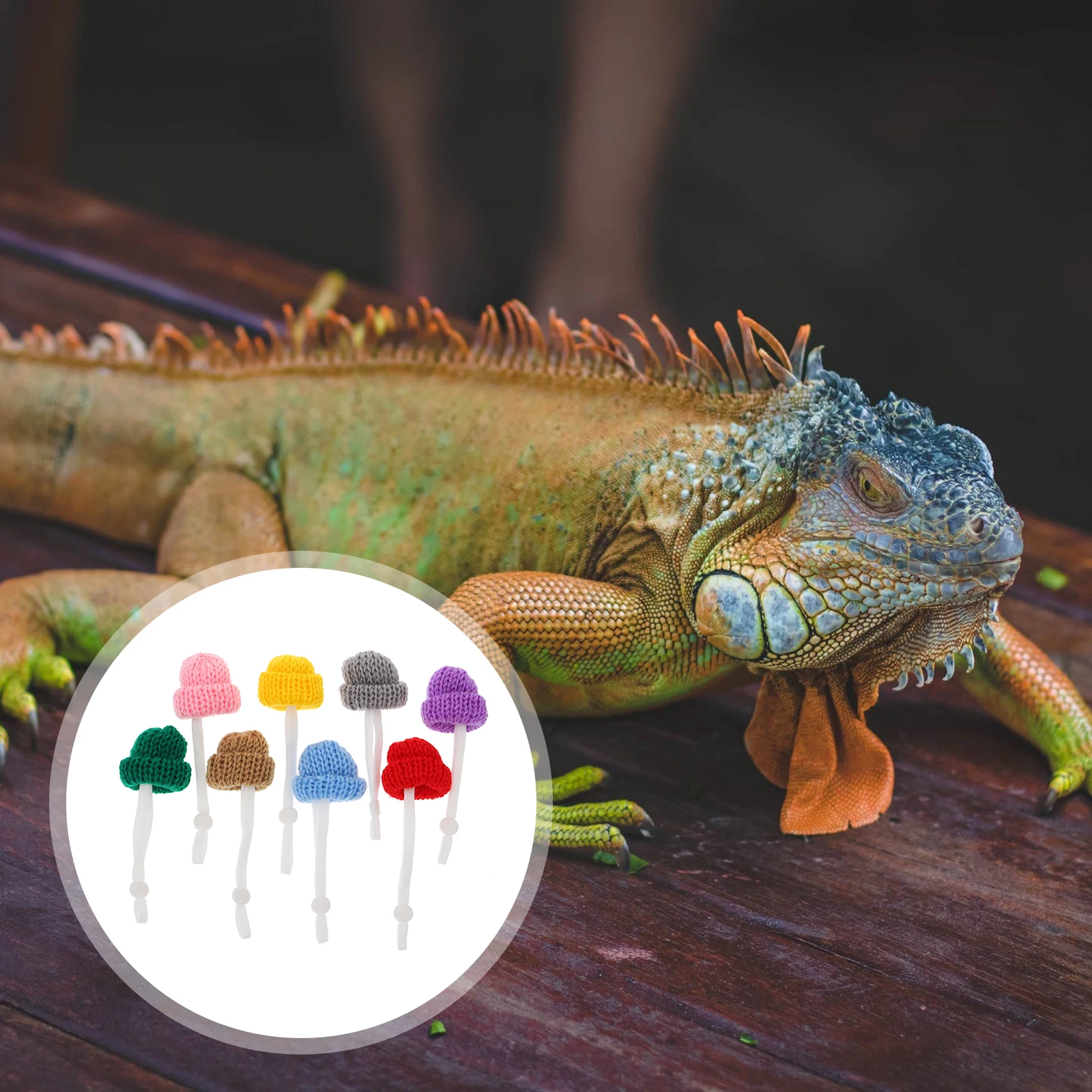 8 stuks Mini Crawl Pet Hat Lichtgewicht Verstelbaar Elastisch Ontwerp Reptiel Hoeden Decoratieve Accessoires Snake Lizard Festivals