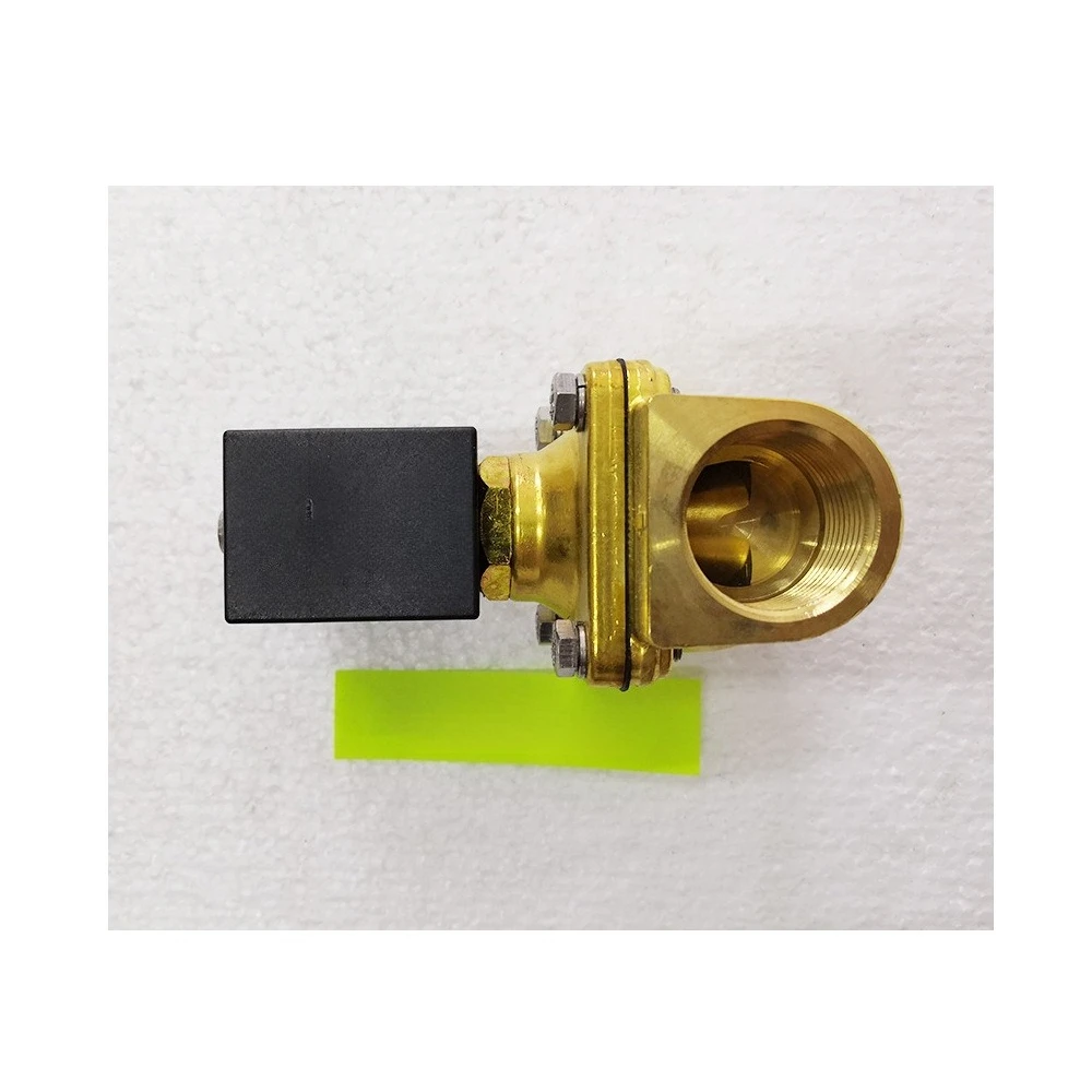 ODE 21HT5K0Y160 110VAC solenoid valve