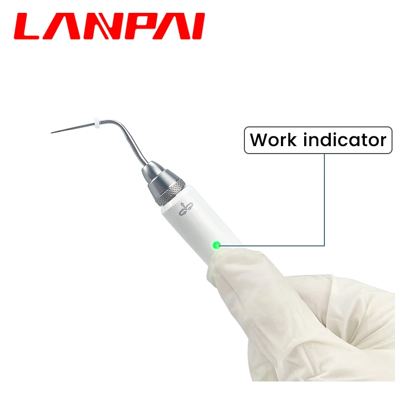 Lanpai Dental Gutta Percha Obturation System Endo Heated Pen With 2 Tips Hot Melt Filling Dentist Lab equipments