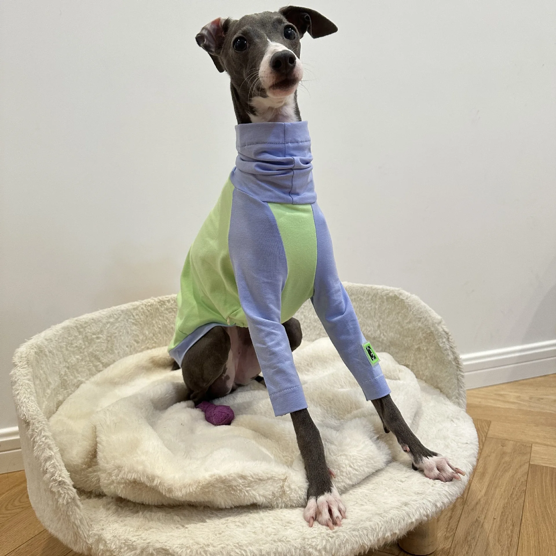 Spring and Summer Thin Color-block Cotton T-shirt Vest Italian Little Grey Bit Bedlington Terrier Dress