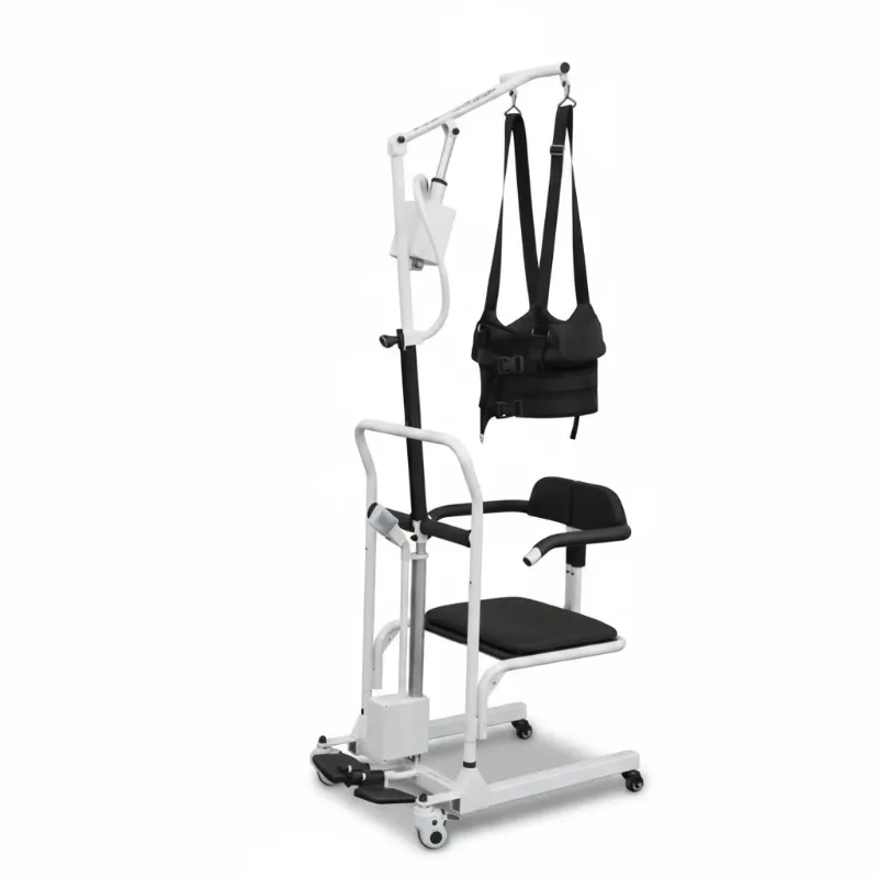 

Patient Transfer Lift, Heavy Duty Steel Elderly Care Transfer Device, Walking Sling, 73 x 52 x 170 cm, Premium Home Care