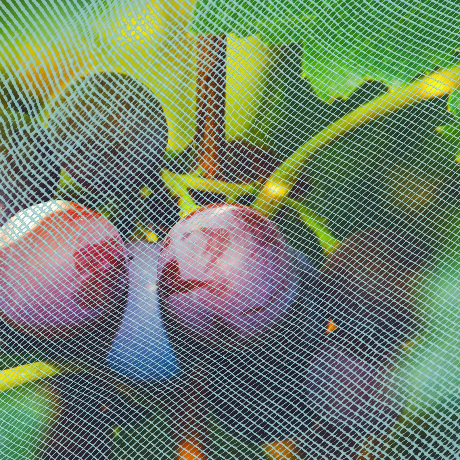 

Ultra Garden Mesh Netting Plant Protection Net Beds Raised Beds Bird Insect Barrier Mesh for Fruits