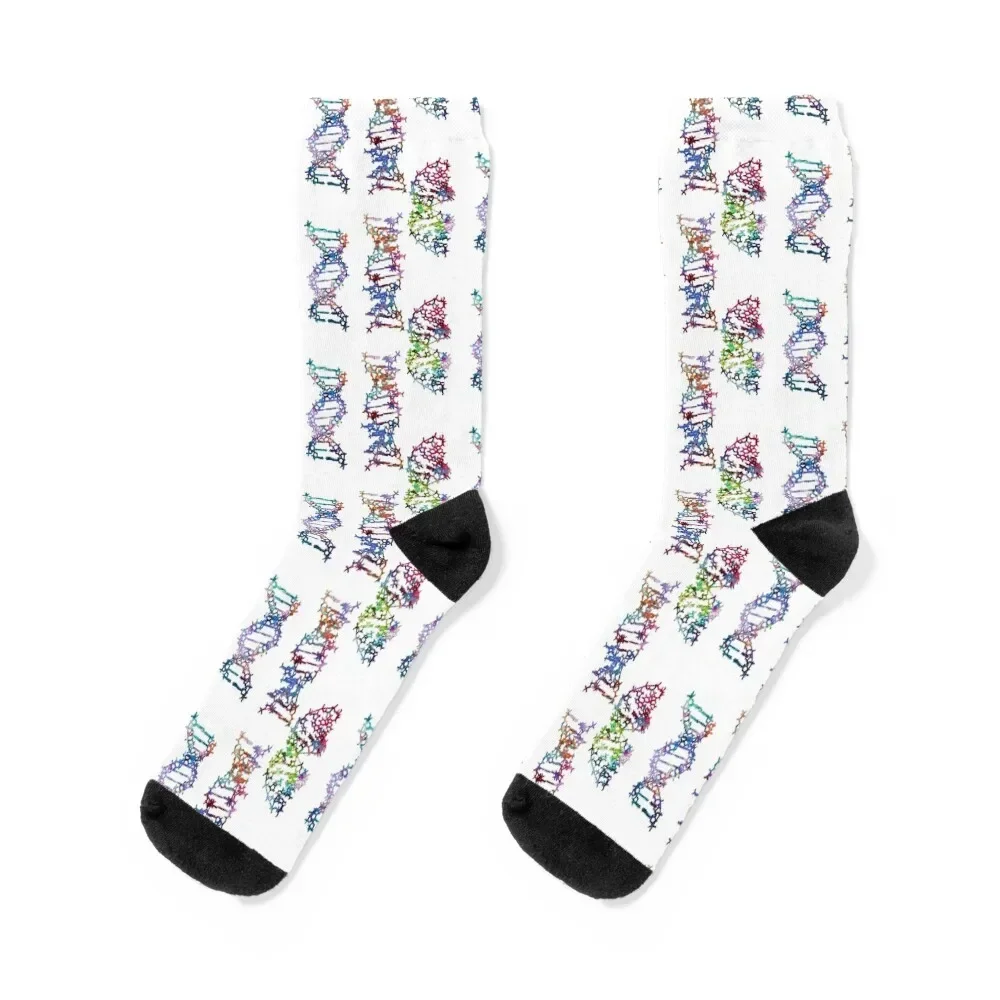 Three DNA Chains Socks football Hiking boots funny gifts Socks Female Men's