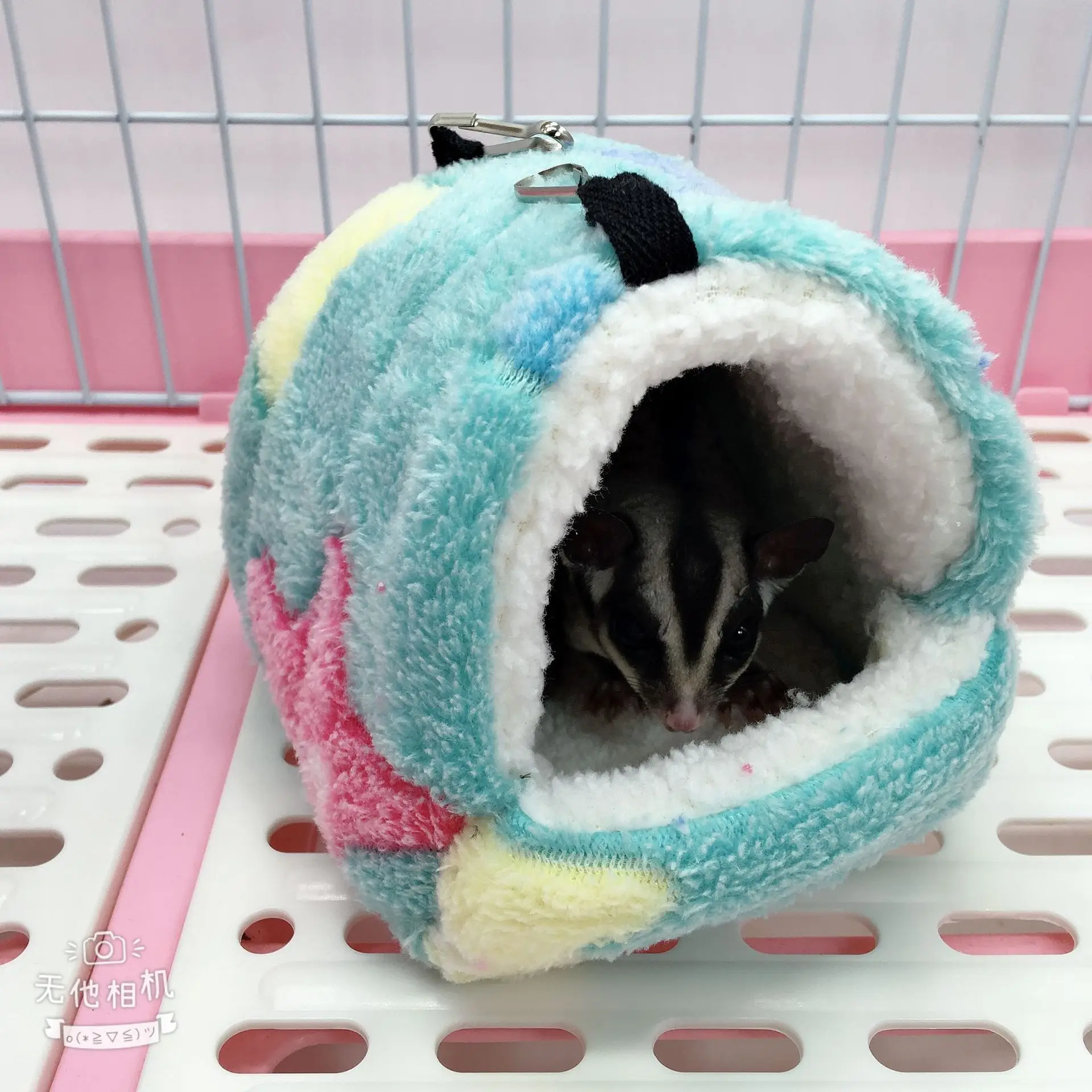 Small pet Coral velvet dot print small foam pet House hanging hamster bed with zipper small animal squirrel small parrot cotton