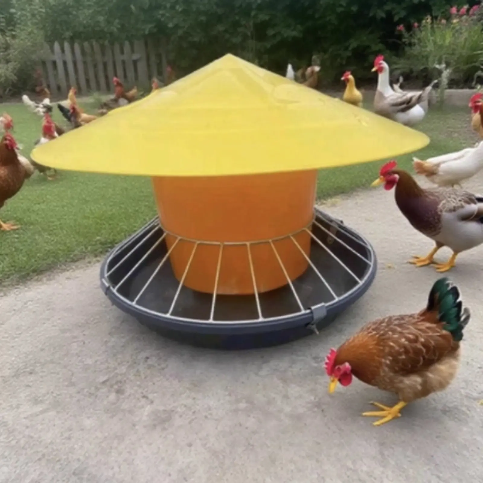 Round Fowl Feeder Large Capacity Fowl Feeder Chicken Feeding Trough Easy Installation Automatic Nourishment Container Anti-Perch view 2