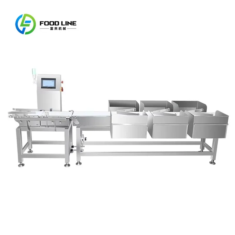 Customized Industrial Fish Sorting Machine High Capacity Size Sorter Food Grade Stainless Steel for Large Scale Fish Farming