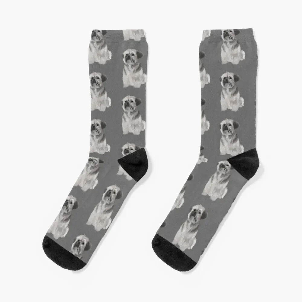 

Bichon Shihtzu Puppy Socks christmass gift man essential Run Boy Child Socks Women's