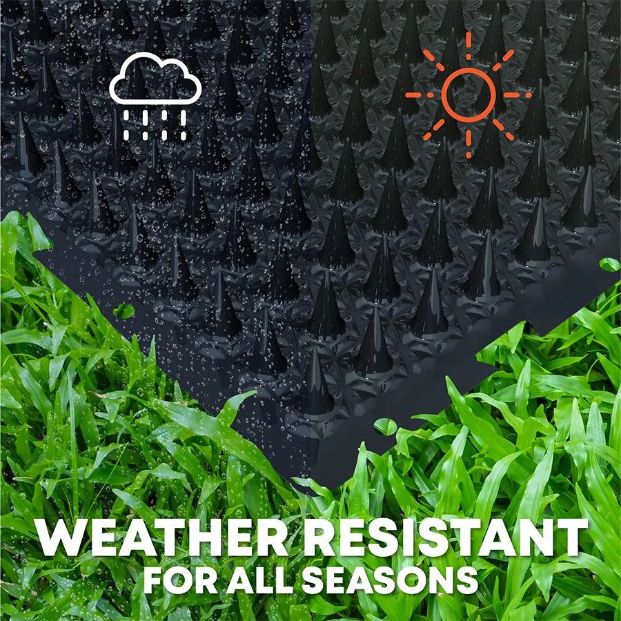 Thumbnail 2 - #62 Latest Bird Supplies Offers