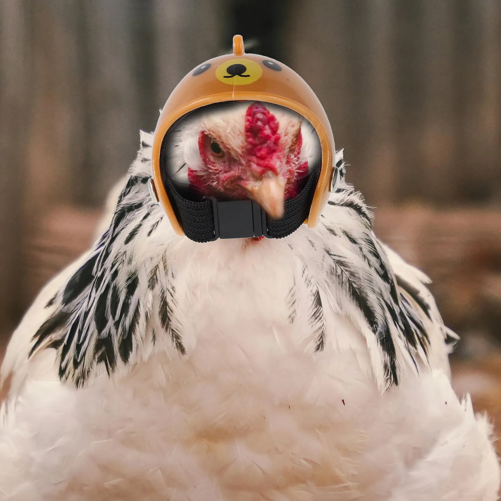 

4Pcs Chicken Hens Protective Hard Hat Adjustable Size Pet Safety Headwear for Bird Parrot Small Pet Costumes Accessories