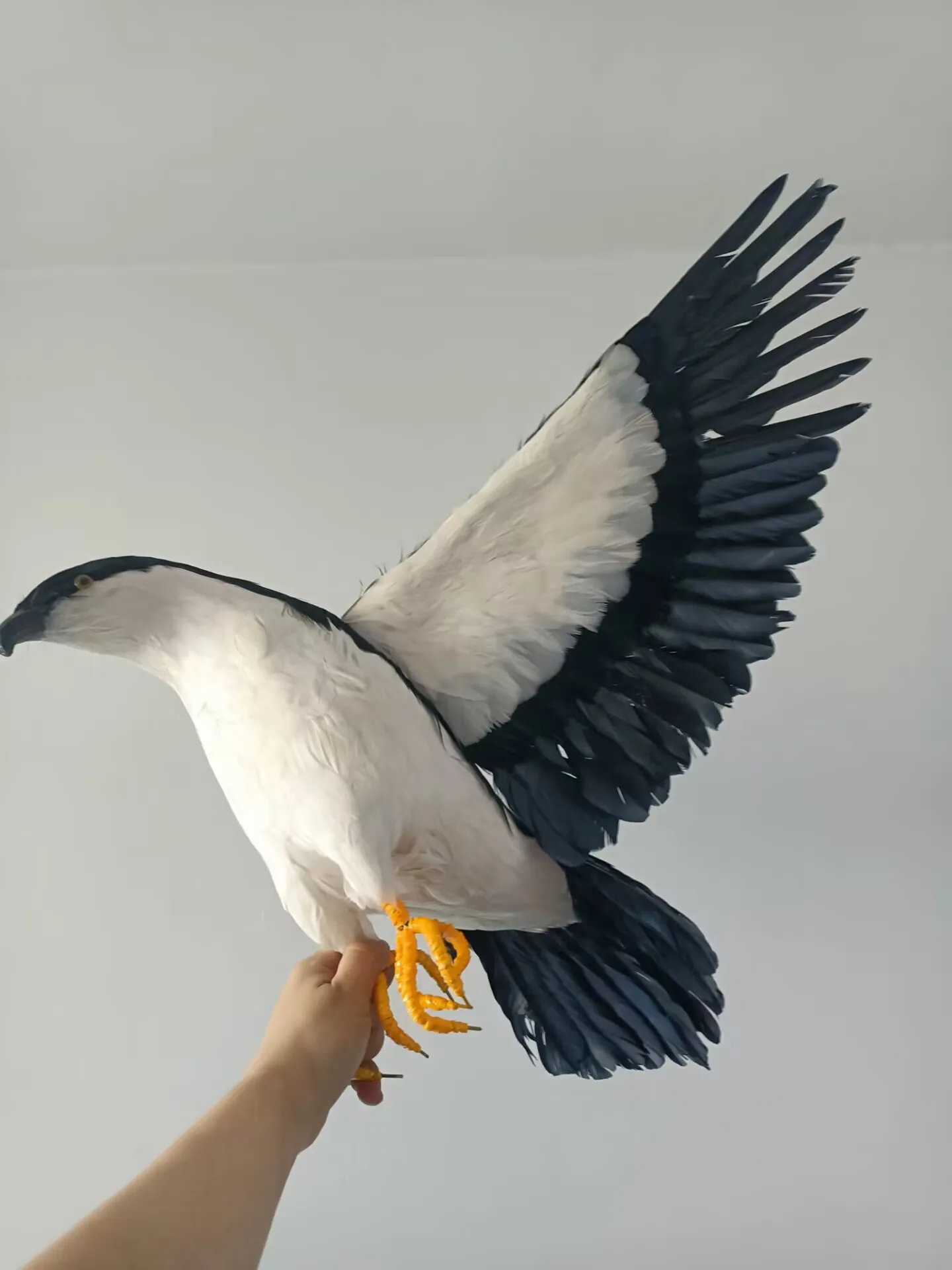 huge simulation foam&feather wings eagle model gift about 45x90cm xf2911