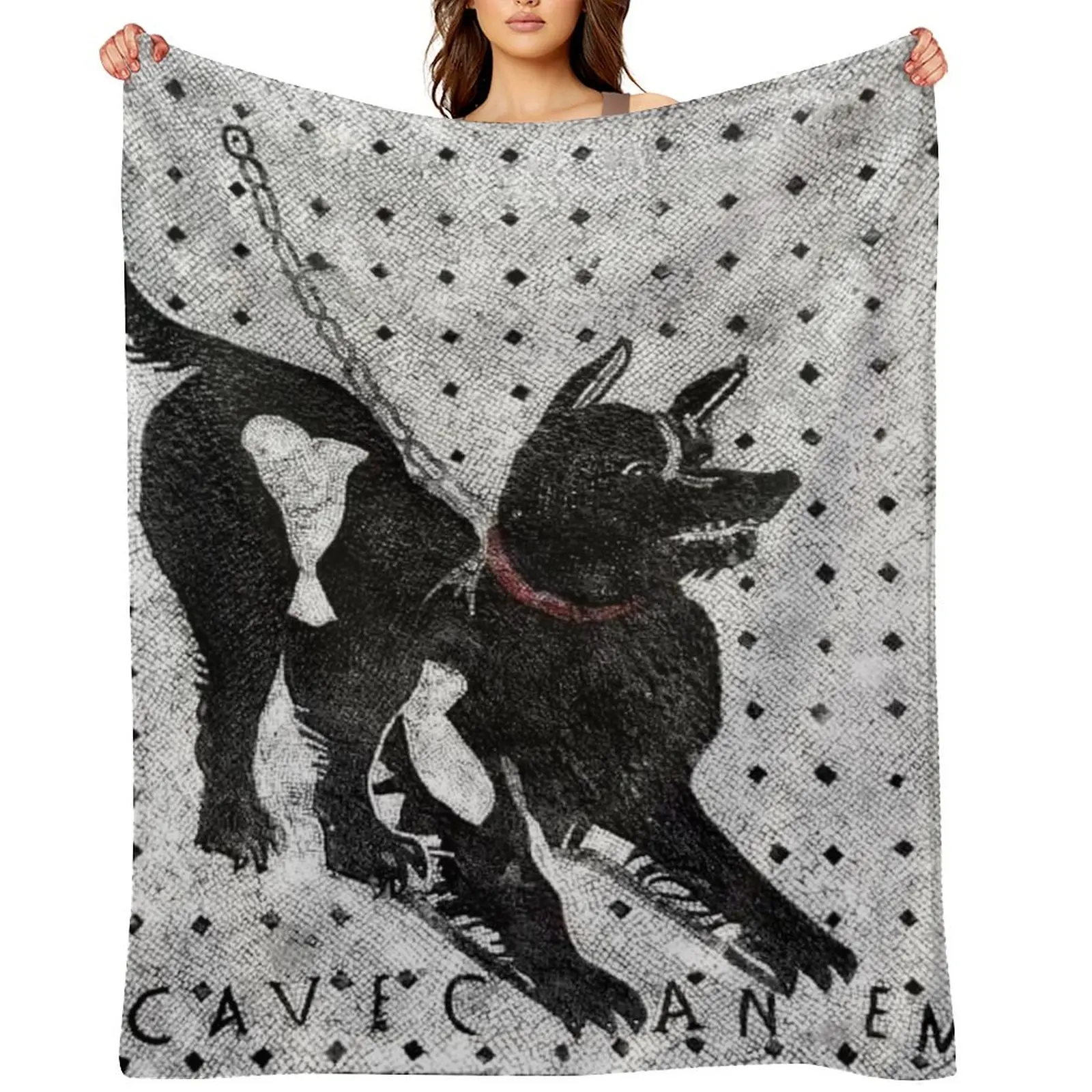 

Cave Canem - Beware of Dog - Pompeii Latin Mosaic Throw Blanket Blankets For Bed Heavy Plaid on the sofa Flannel Fabric Blankets
