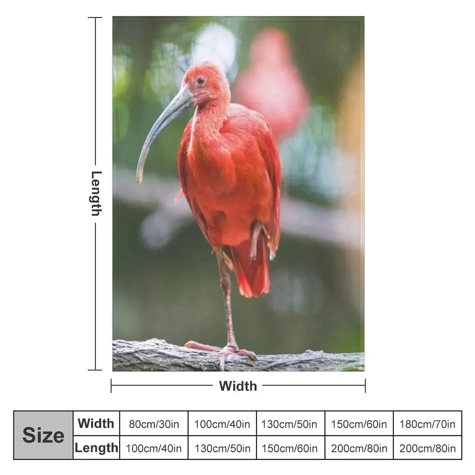 Tropical Scarlet Ibis Throw Blanket blankets and throws Tourist Flannel Fabric Beach warm winter funny gift Blankets