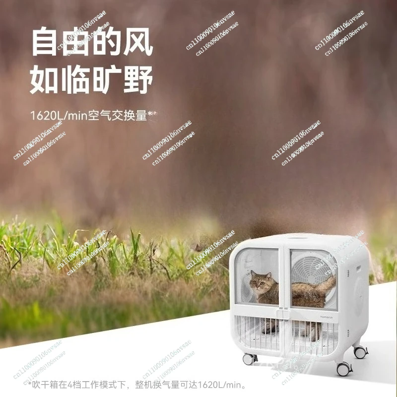 

blow dryer blowing water bath hair dryer hair dryer household Pet drying box PD135 cat dog automatic