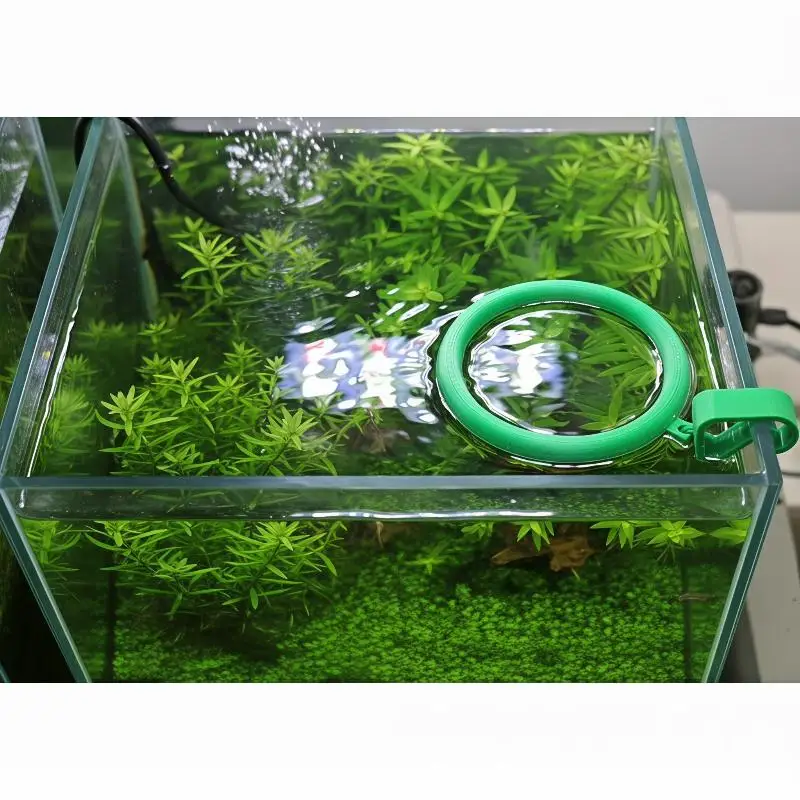Water Level Adjustable Anti-Scatter Feeder Ring for Aquariums Ideal for Fish Lovers
