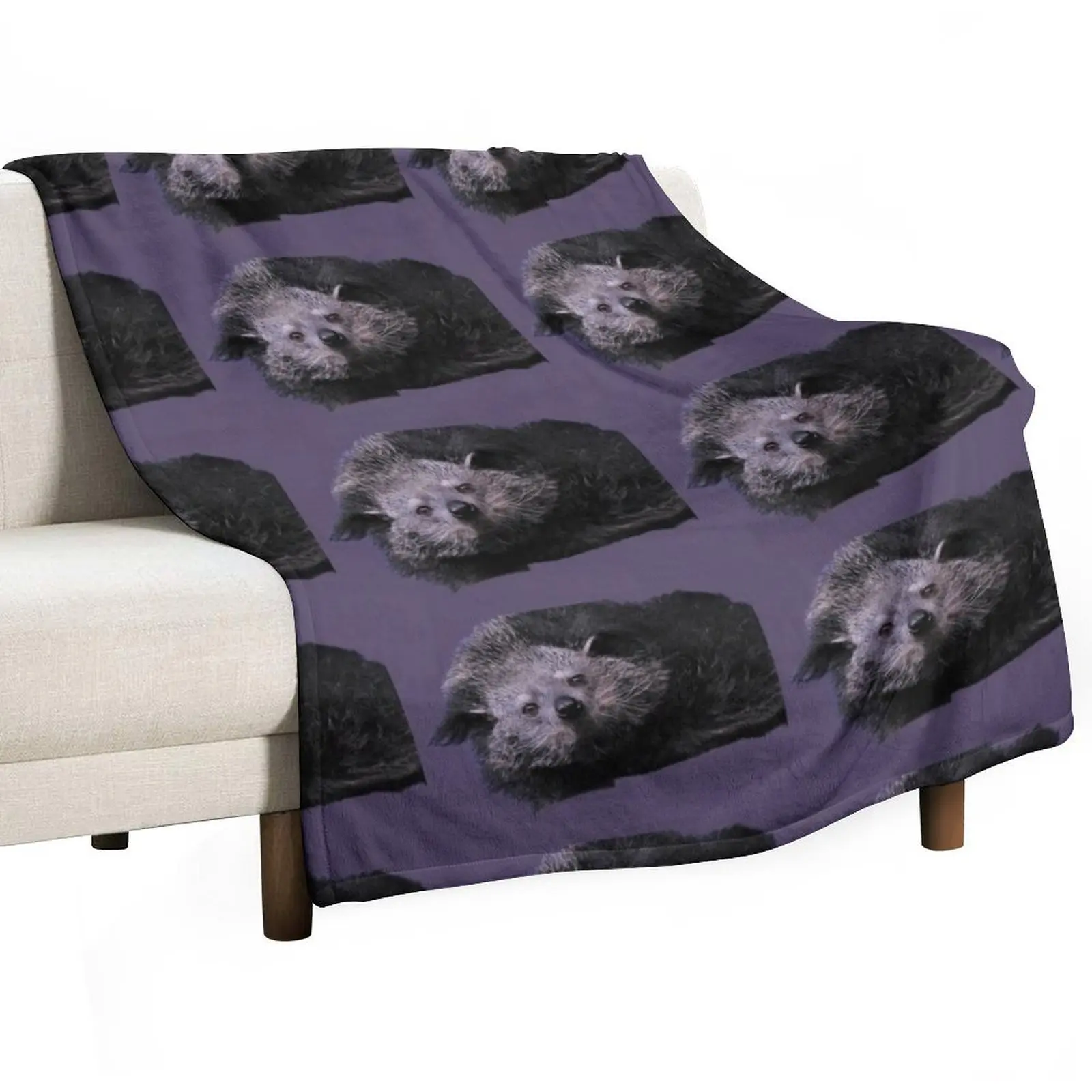 Binturong Throw Blanket Blankets For Bed bed plaid for winter Blankets