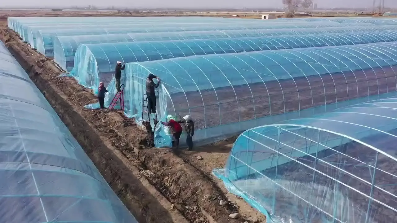 Szybkozmontowane stalowe budynki przemysłowe i rolnicze, szklarnie na farmy do uprawy i hodowli, rok 2025