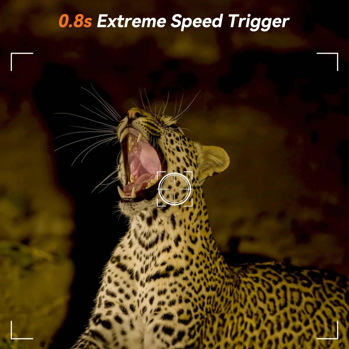 Hunting Camera Wild Infrared Night Vision Outdoor Motion Trail Game Cam Activated Tracking Photo Trap Cam Wild Surveillance image 2