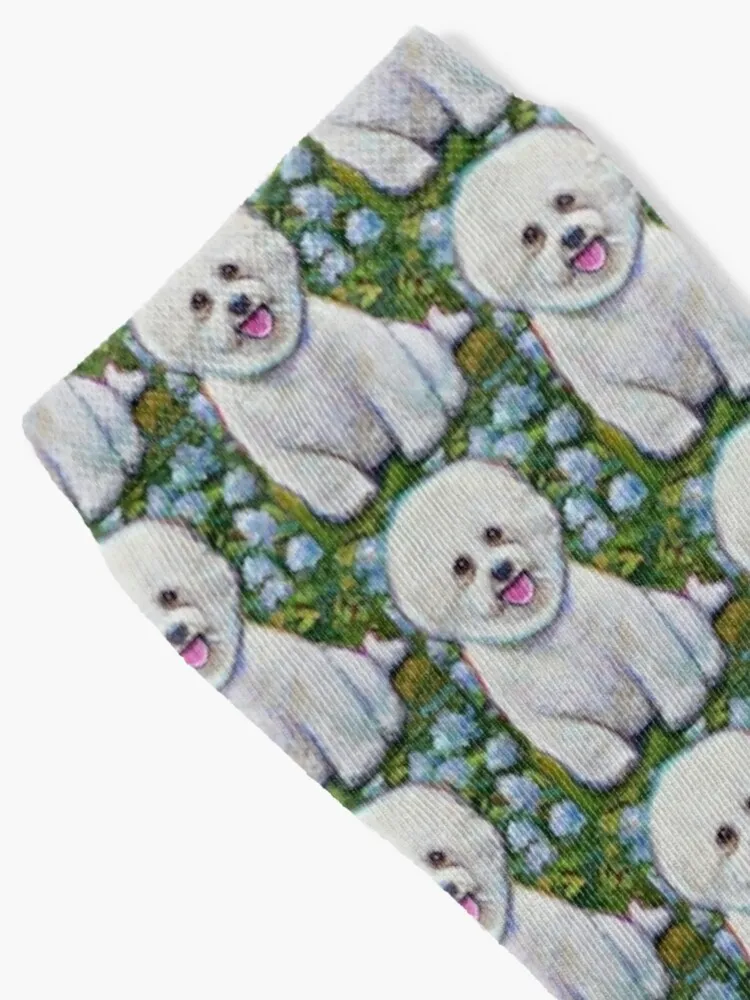 Bichon Frise in the Garden Painting by Robert Phelps Socks Crazy Socks Men'S Cycling Socks