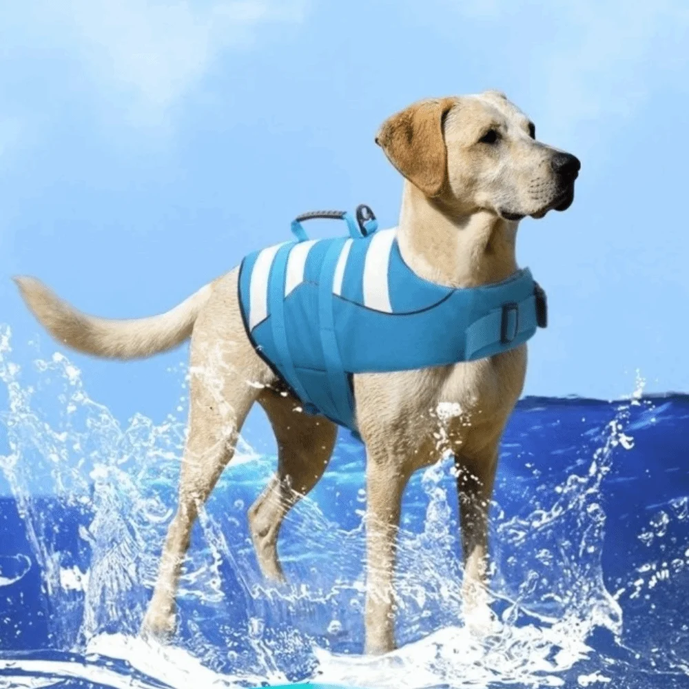 

Reflective Dog Life Jacket Superior Buoyancy Breathable Pet Life Preserver Adjustable with Handle Safety Vests