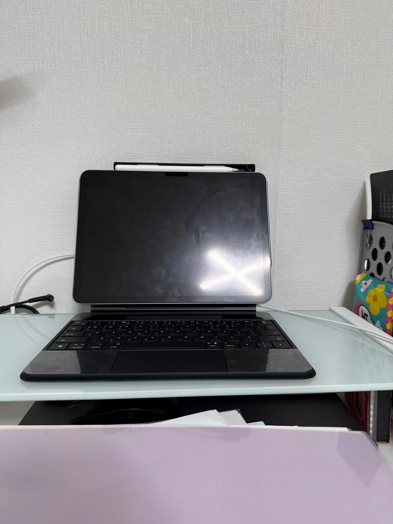 실물 포토 리뷰