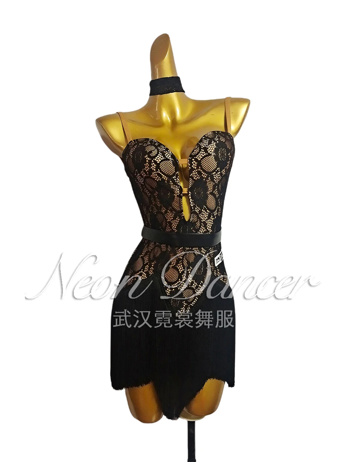 

Neondancer New Women's Latin Dance Training Clothes Lace Fabric Suspender Tassel Dress